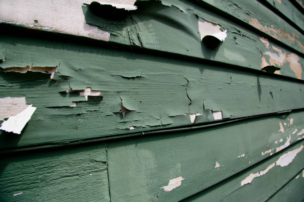 Best Composite Siding  in Brewton, AL
