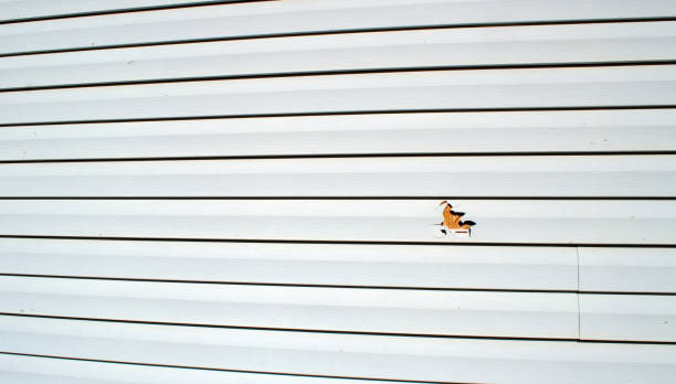 Best Aluminum Siding Installation  in Brewton, AL
