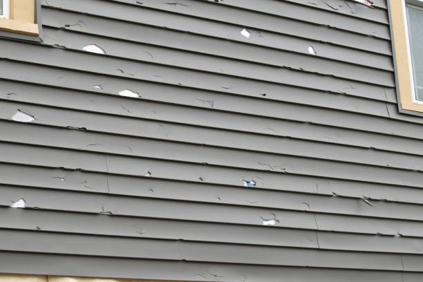 Best Steel Siding Installation  in Brewton, AL