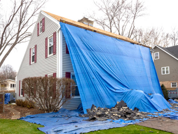 Best Stone Veneer Siding  in Brewton, AL