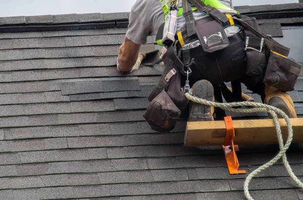 Storm Damage Siding Repair in Brewton, AL
