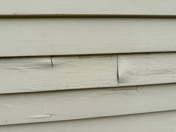 Best Wood Siding Installation  in Brewton, AL
